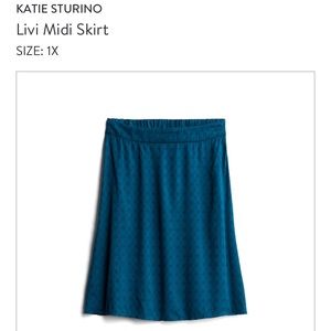 X1 Katie Sturino Skirt - Stitch Fix